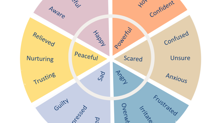 Feeling wheel