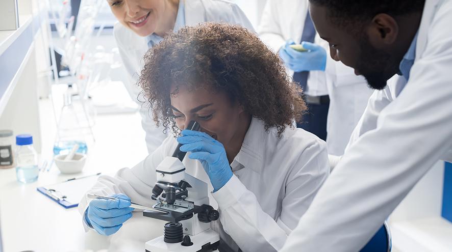 Group of researchers.